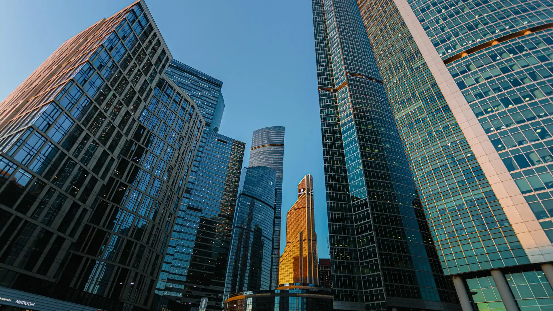 Команда City Towers